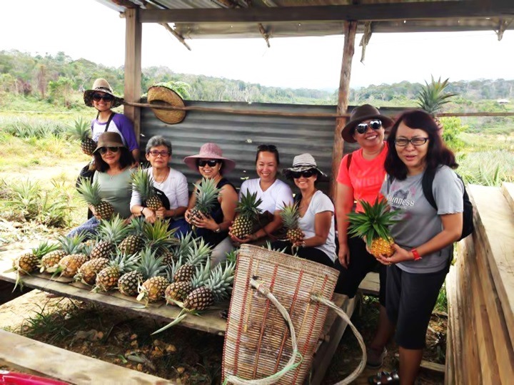 3D2N Bario Valley With Prayer Mountain